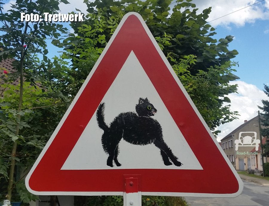 Gefahrenschild Deutschland - kreuzende Katze