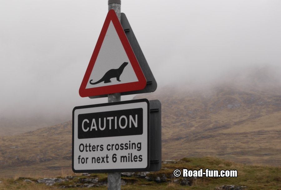 Gefahrenschild Isle Of Mull - Otters Crossing