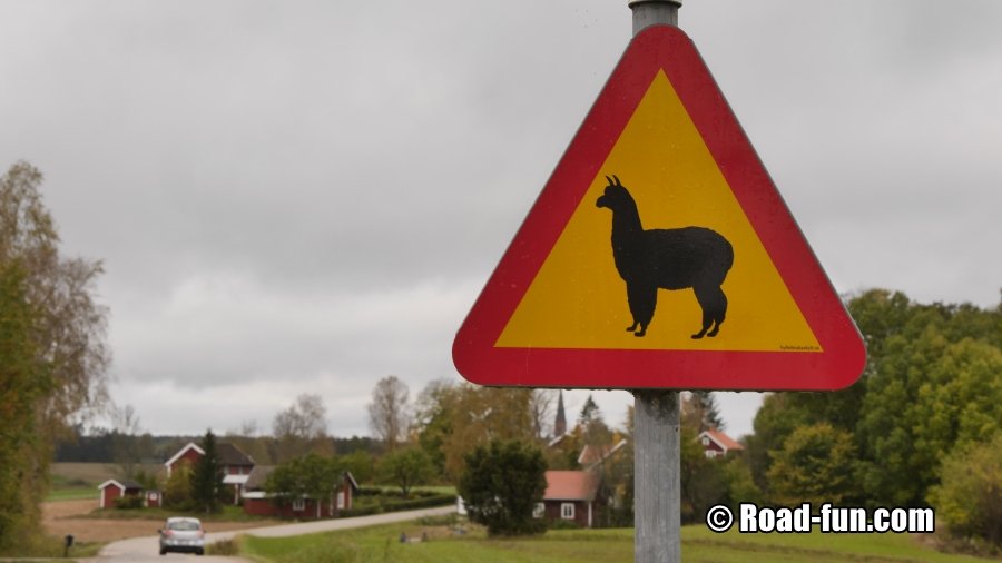 Gefahrenschild Schweden - Alpaka