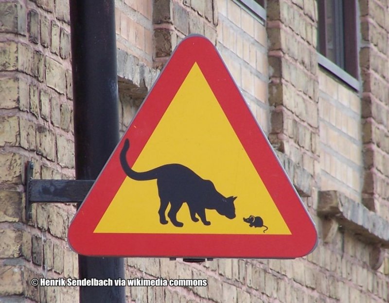 Gefahrenschild Schweden - Katz und Maus
