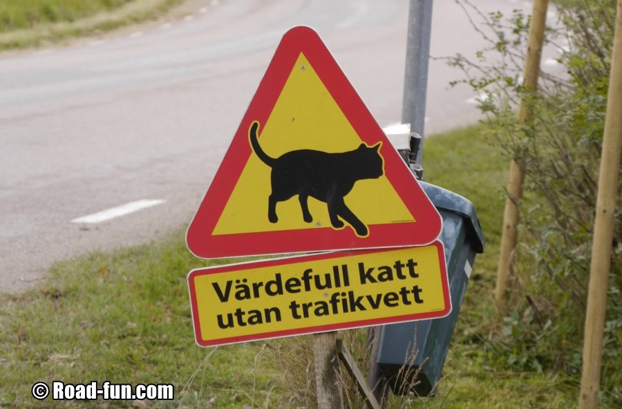 Gefahrenschild Schweden - Katzen