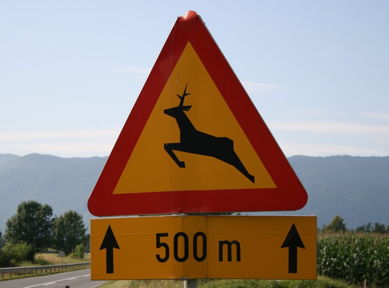 Gefahrenschild Wildwechsel - Slowenien 