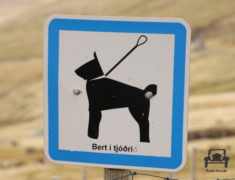 Hinweisschild Faeroer Inseln - Leinenpflicht für Hunde