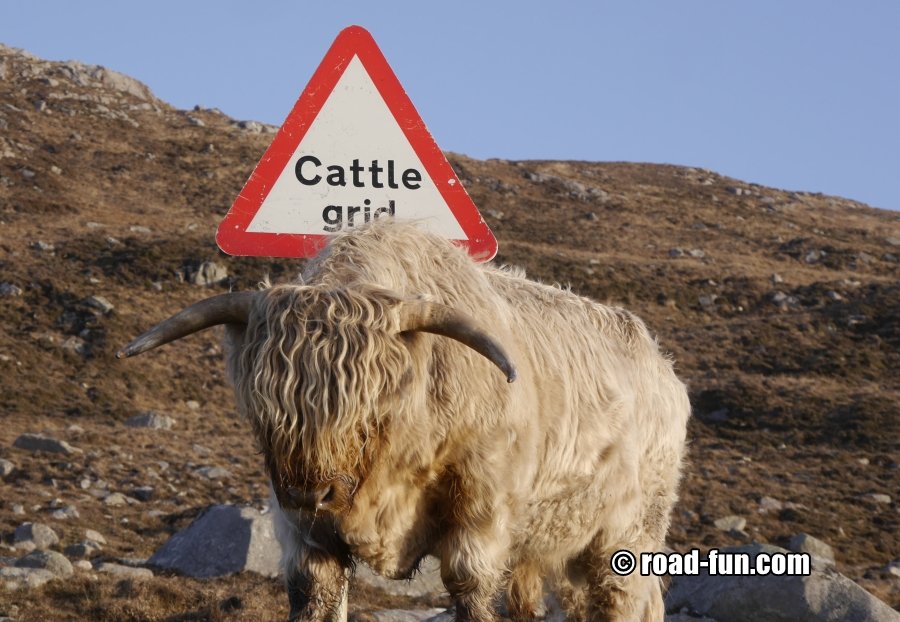 Hinweisschild Isle of Harris - Cattle Grid