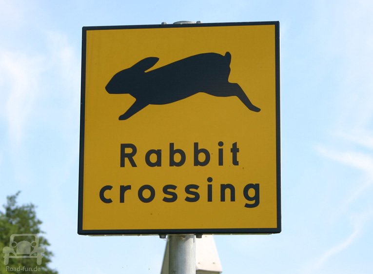 Hinweisschild Schweden - Rabbit crossing