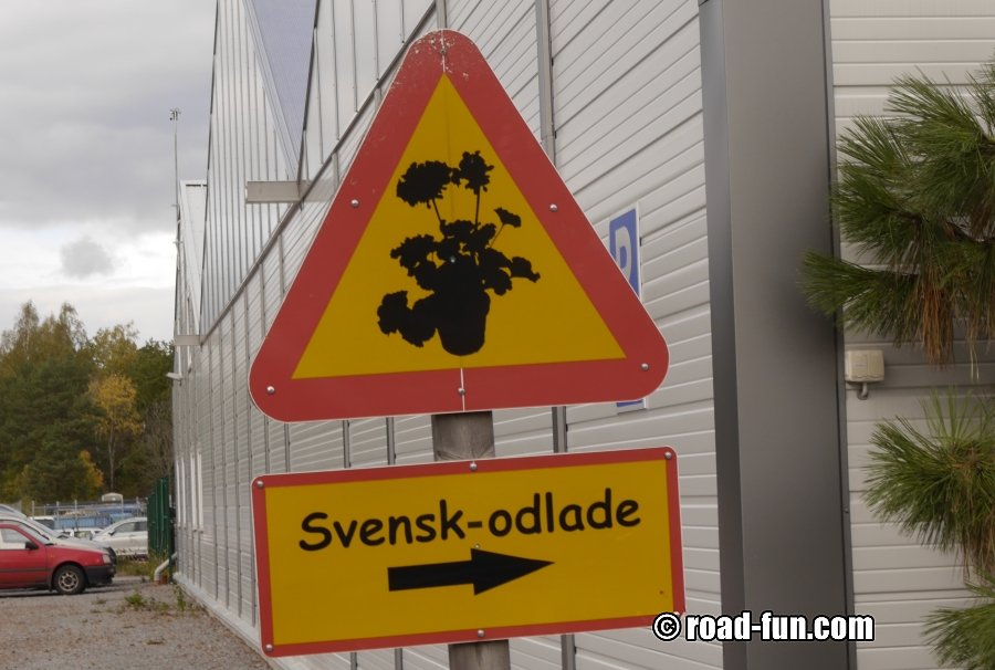 Hinweisschild Schweden - schwedische Gewächse