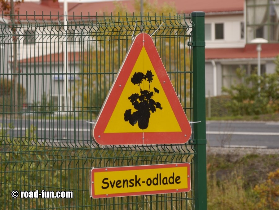 Hinweisschild Schweden - schwedische Pflanzen