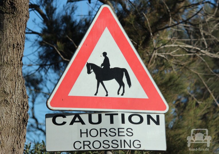 Malta Gefahrenschild - Pferde
