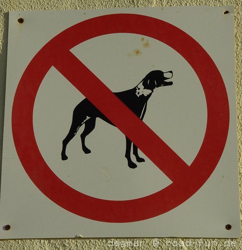 Verbotsschild Portugal - Hunde (1)