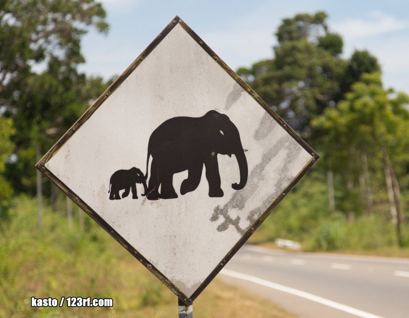 Gefahrenschild Sri Lanka - Elefanten