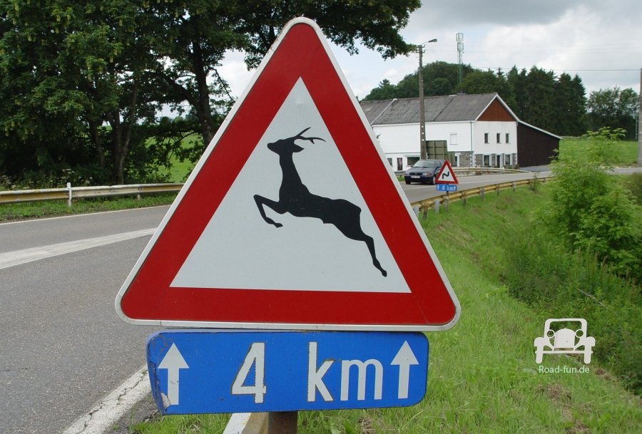 Verkehrsschild Strasse Gefahr Tiere Wildwechsel - Belgien