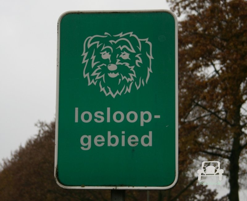 Verkehrsschild Strasse Hinweis Hund - Niederlande