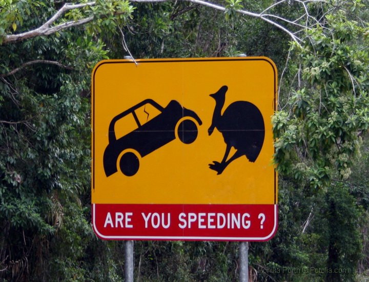 (Road)sign Australia #021