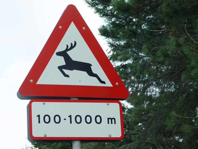 (Road)sign Denmark #025