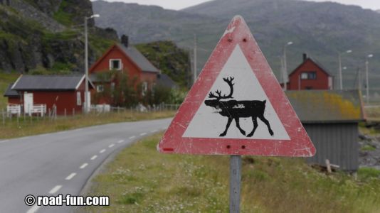 Gefahrenschild Norwegen - Rentiere