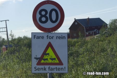 Gefahrenschild Norwegen - Rentiere auf der Strasse, Geschwindigkeit senken