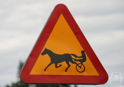 Gefahrenschild Schweden - Pferde