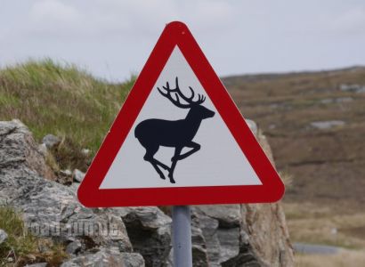 Gefahrenschild außere Hebriden - Hirsche