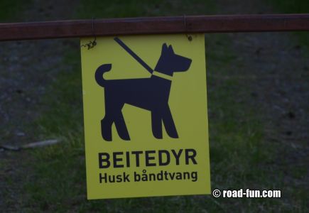 Hinweisschild Norwegen - Leinenpflicht für Hunde - Weidetiere