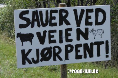 Hinweisschild Norwegen - Schafe an der Straße - fahr "schön"