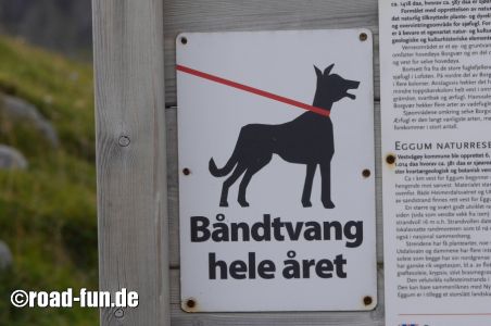 Hinweisschild Norwegen - Ganzjaehrige Leinenpflicht für Hunde