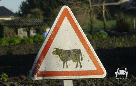 Verkehrsschild Gefahr Kuh Frankreich