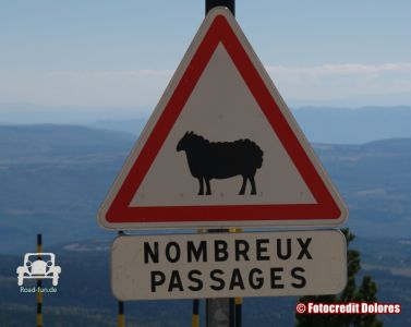 Gefahrenschild Schafe - Frankreich