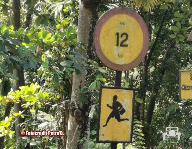 Verkehrsschild Gefahr Schule - Sri Lanka 