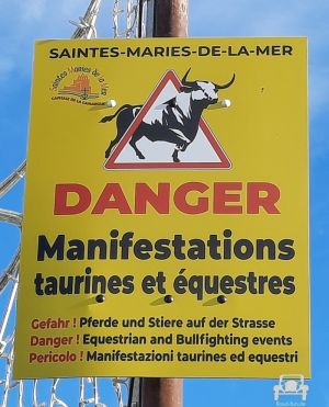 Gefahrenschild freilaufende Stiere - Frankreich  