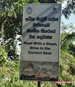 Verkehrsschild Hinweis Kehre  Sri Lanka 