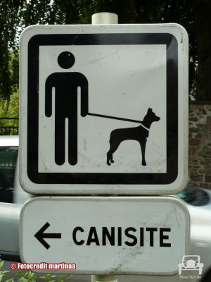 Hundeplatz - Frankreich