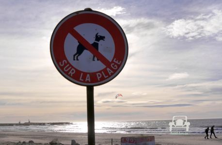 Hunde am Strand verboten - Frankreich