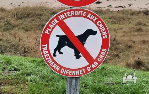 Verkehrsschild Hunde Verbot Frankreich 