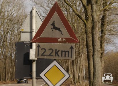 Verkehrsschild Gefahr Wildwechsel - Niederlande
