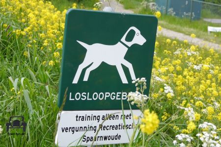 Freilaufgebiet für Hunde - Niederlande