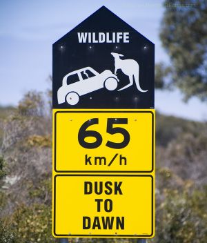 (Road)sign Australia #024