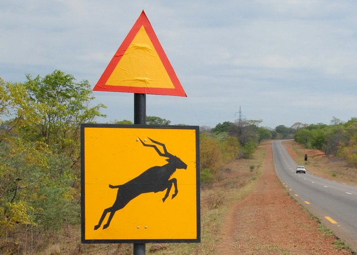 Gefahrenschild Botswana - Wildwechsel antilope