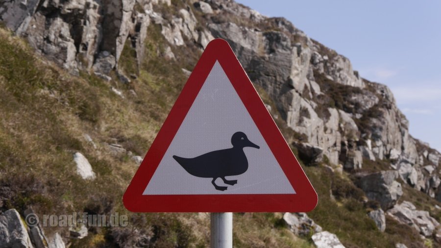 Gefahrenschild Hebriden - Enten(duck With Eye)