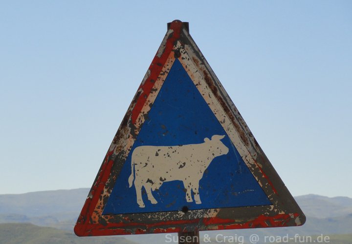 Gefahrenschild Lesotho - Kühe