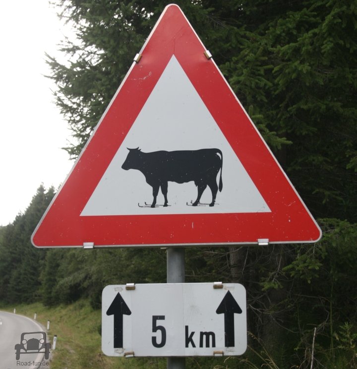 Gefahrenschild Oesterreich - Kuh Auf Skiern (1)