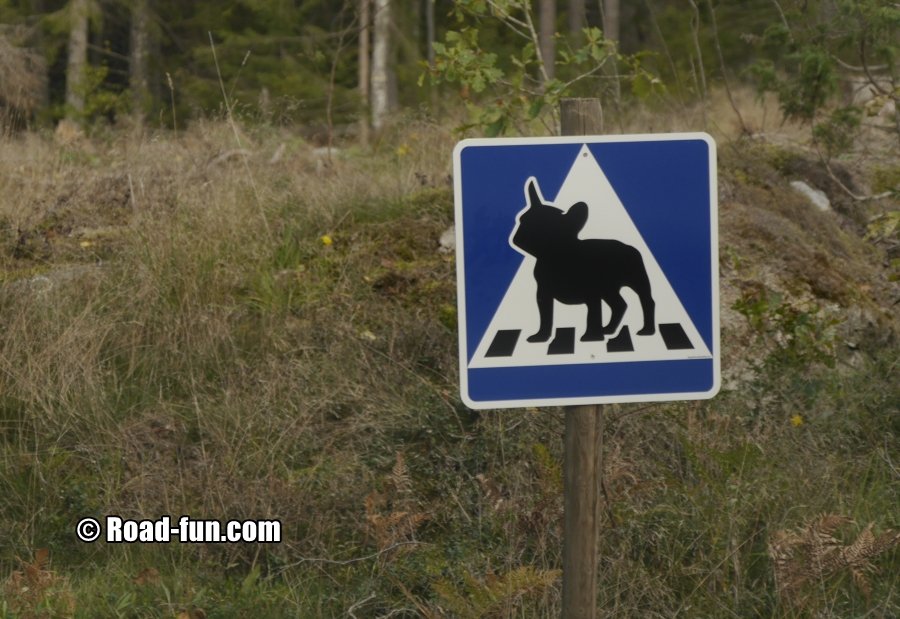 Gefahrenschild Schweden - Französische Bulldogge