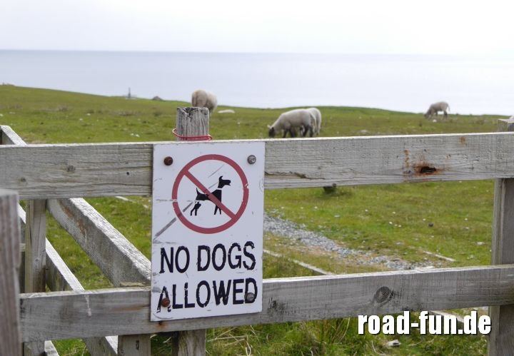 Verbotsschild Outer Hebrides, Schottland - Hunde verboten