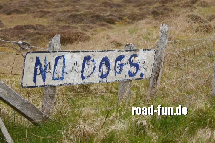 Verbotsschild Outer Hebrides, Schottland - Hunde verboten (2)