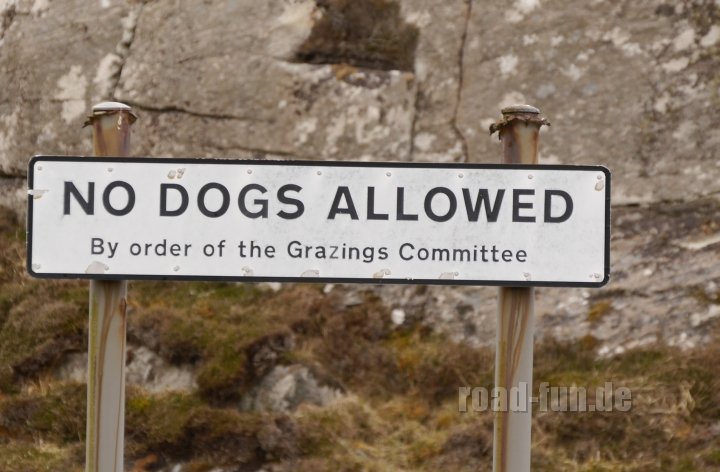 Verbotsschild Outer Hebrides, Schottland - Hunde verboten (3)