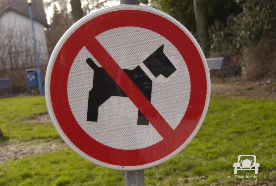Verkehrsschild Hund Verbot - Niederlande