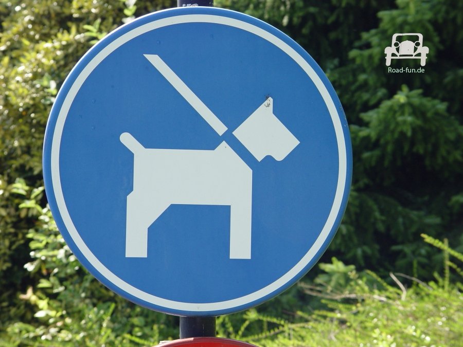 Verkehrsschild Strasse Hinweis Hunde - Niederlande