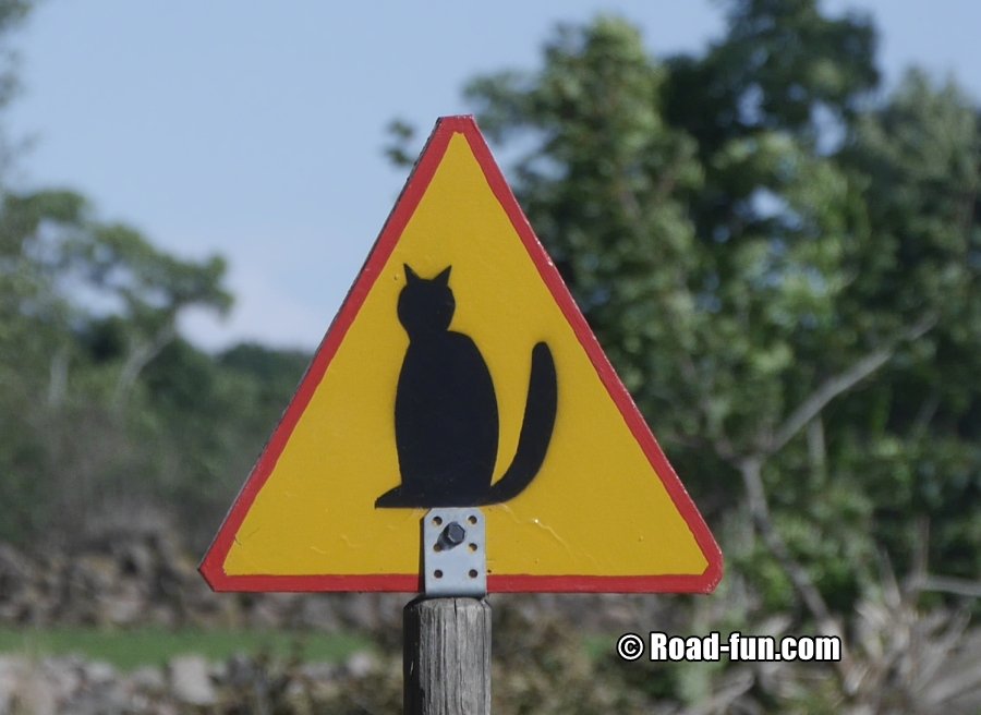 Warnschild Schweden - Katzen