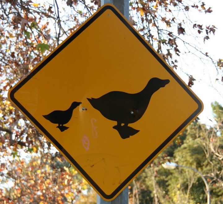 (Road)sign Australia #004