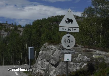 Gefahrenschild Norwegen - Schafe