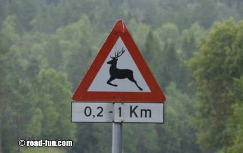Gefahrenschild Norwegen - Wildwechsel (Hirsche)